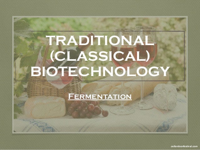 History of Modern Biotechnology II